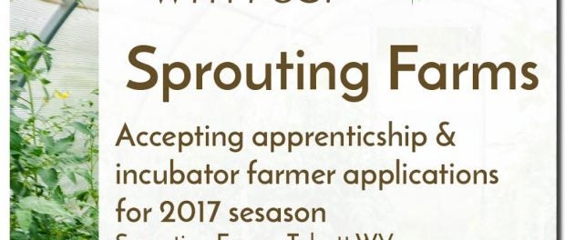 Sprouting Farms Incubator Farm