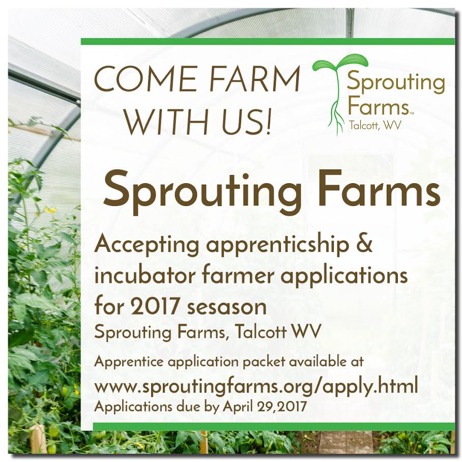 Sprouting Farms Incubator Farm