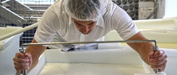 fundamentals of artisan cheese