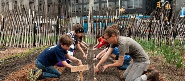 Urban Farm Education Apprentice