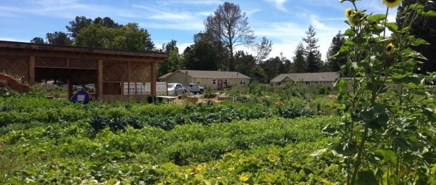 Farm School