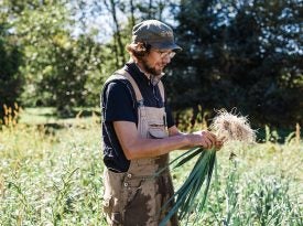 farm production crew leader