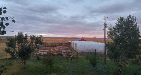 windy mesa farm