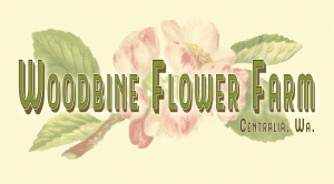 Woodbine Flower Farm