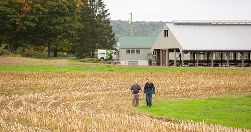 Agricultural Decision Tools