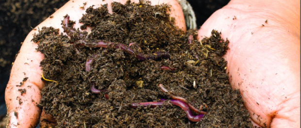 soil health and organic farming