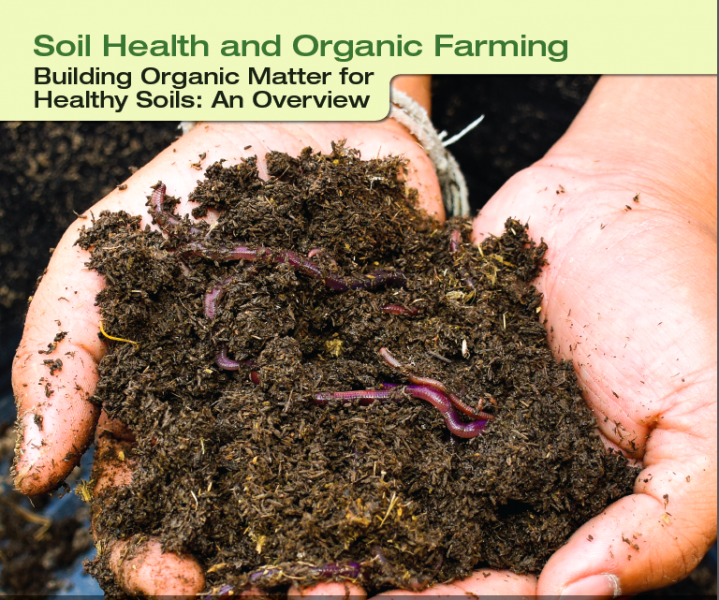 soil health and organic farming