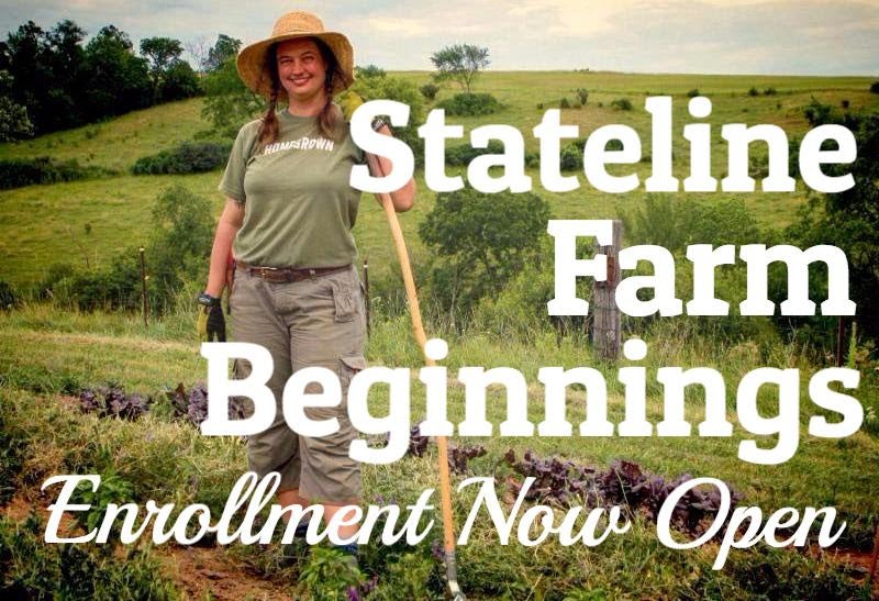 Stateline Farm Beginnings