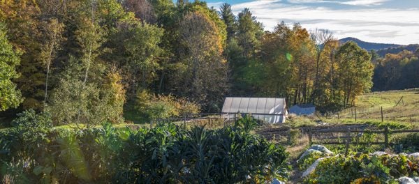 organic vegetable farmer position