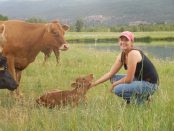 regenerative ranching and farming