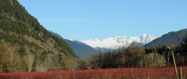 cascadian farms home farm