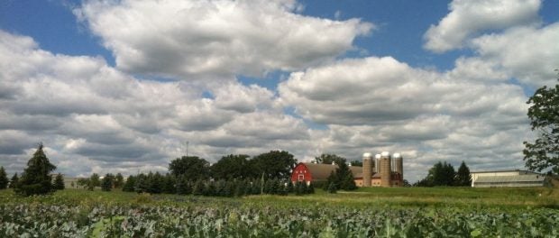 hunger task force farm