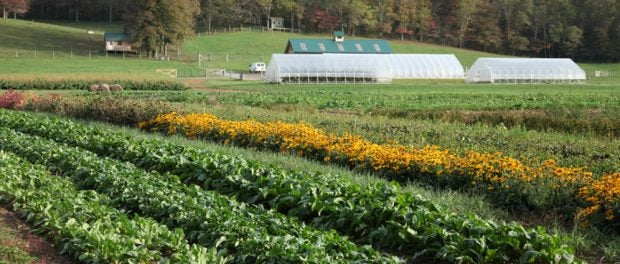 vegetable grower