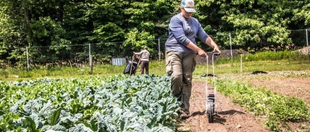 Sustainable Agriculture Apprenticeship