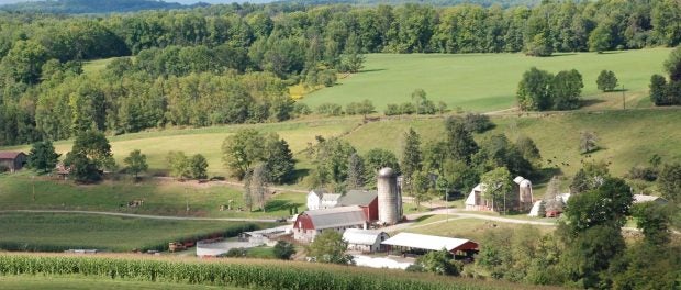 fertile valley farm