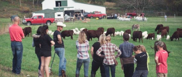 pastured livestock farm school