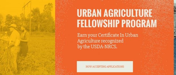 Certificate in Urban Agriculture