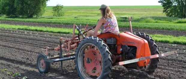 beginning farmer barriers and strategies