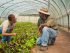 new farmer mentorship program