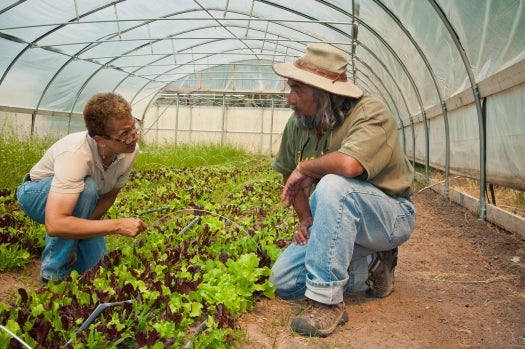 new farmer mentorship program