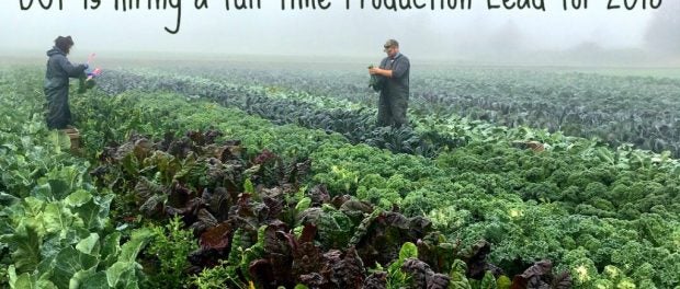 Farm Production Lead Job