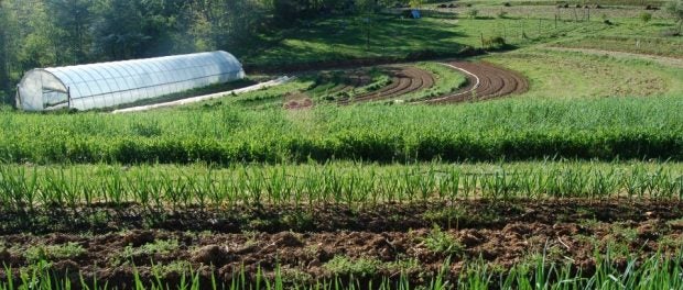 funding opportunities in sustainable agriculture