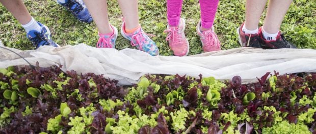 AmeriCorps Farm and Food Jobs