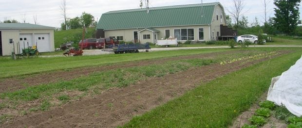 Farm Opportunity in Michigan