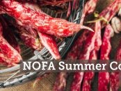 NOFA summer conference