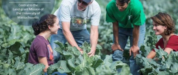 online classes in sustainable food and farming