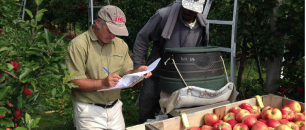 labor ready farmer