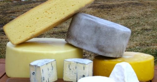 cheese apprenticeships