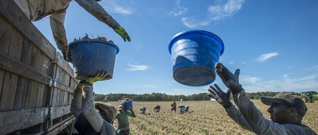 farm bill