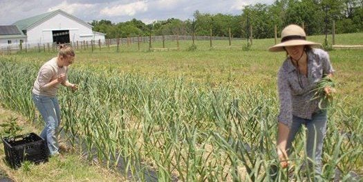 Heartland Farm Beginnings