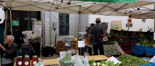 local agriculture market program