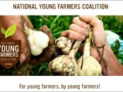 young farmers survey