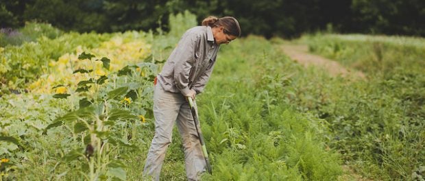 finding farmland