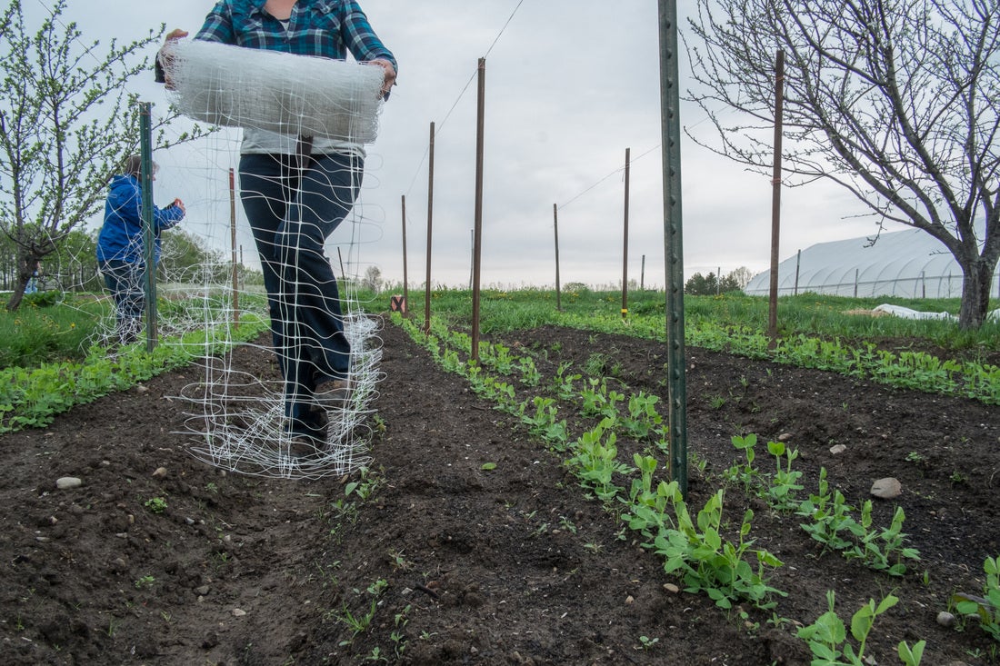 organic farmer training