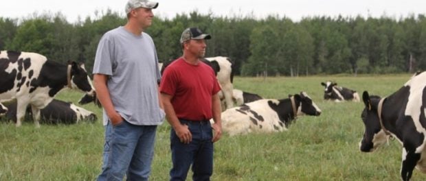 dairy grazing apprenticeship