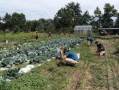 food project farm
