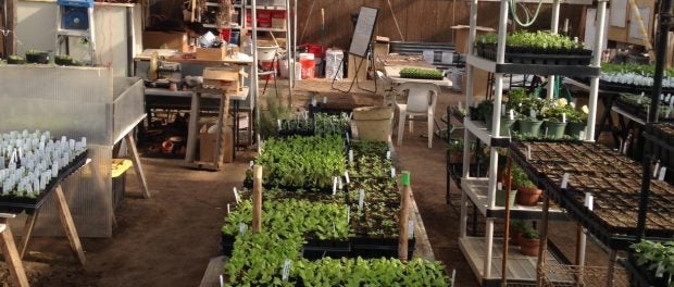organic greenhouse and garden