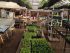 organic greenhouse and garden