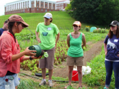 local food system fellowship