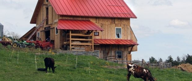 New Hampshire Farm