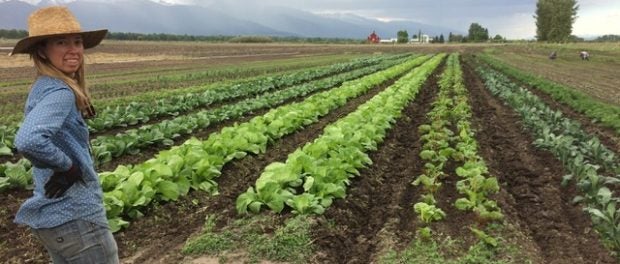 farm manager job and internships in Montana
