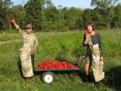 vegetable production apprenticeships