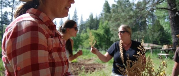 Farm Employment and Education