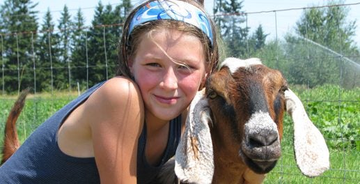 biodynamic farm apprenticeships