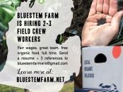 organic farm jobs in michigan