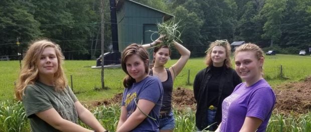 organic vegetable americorps